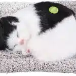 عروسک طرح گربه مدل sleepy کد (1552)