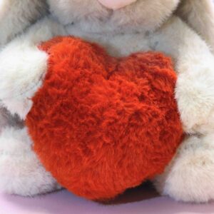 عروسک طرح خرگوش قلب دار کد (4782)