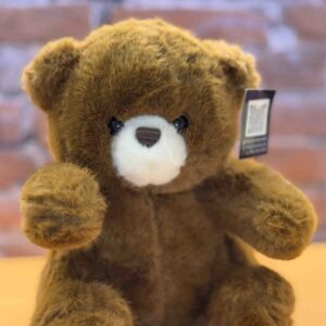 عروسک طرح خرس کد (4788)