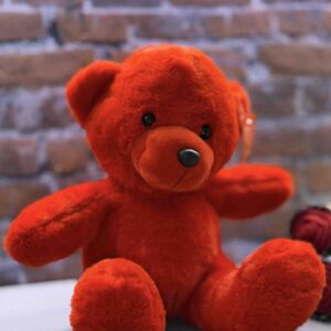 عروسک طرح خرس کد (4790)