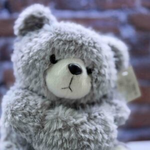 عروسک طرح خرس کد (4792)