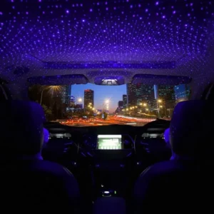 چراغ تزئینی سقف خودرو کد (6448)